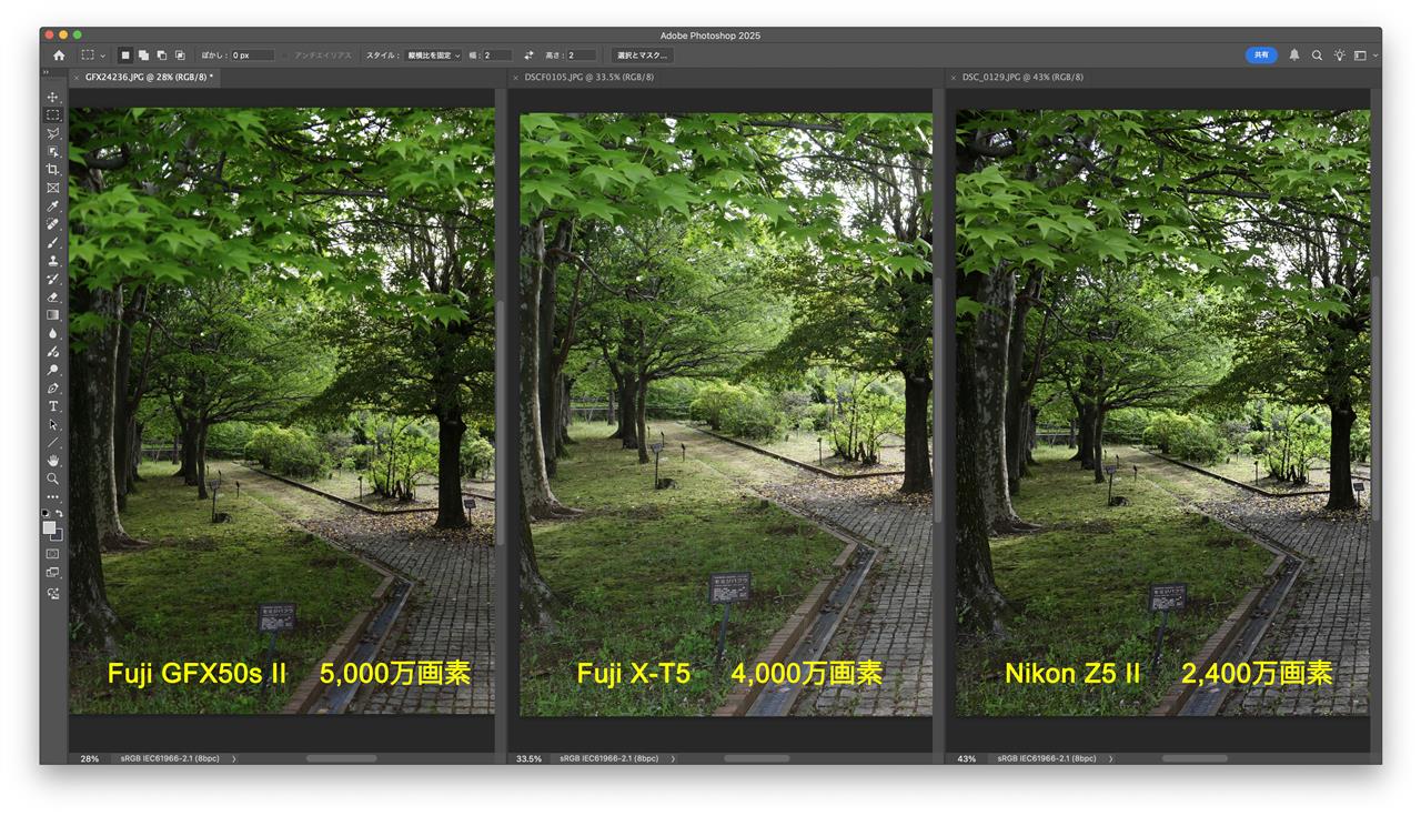 Fuji X-T5 vs Nikon Z5 II 画質比較｜ととちのブログ｜ととち - みんカラ