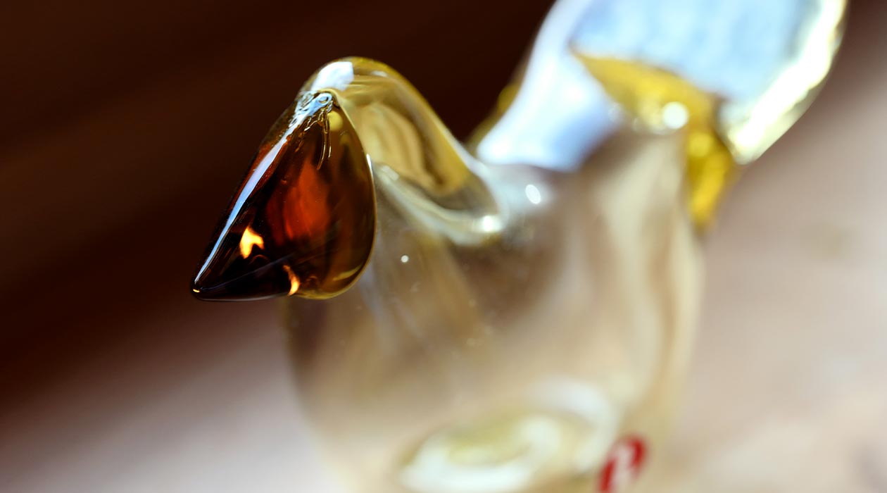 Birds by Toikka | Sieppo | iittala