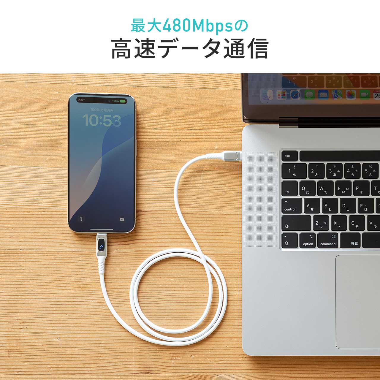 サンワダイレクト本店 サンワサプライ【オフィス・PC周辺通販】