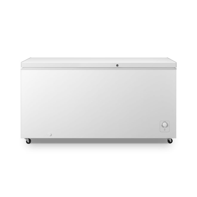 Hisense White 17.7-ft³ Freezer Chest FC18D6CWD | RONA