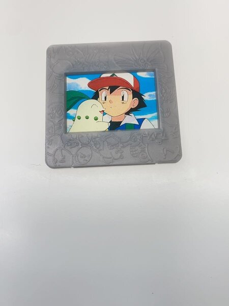 ポケモンピクチャーフレーム サトシ&チコリータ 銀フレーム ゲーム系