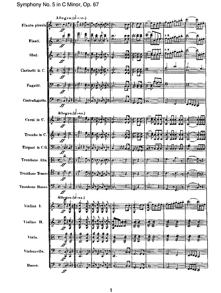 Симфония № 5 (Symphony No. 5) 4. Allegro (scan) - Оркестр