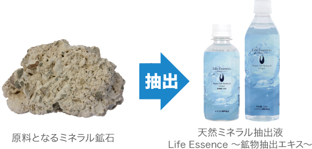 ミネラルの重要性 | Club Eco Water