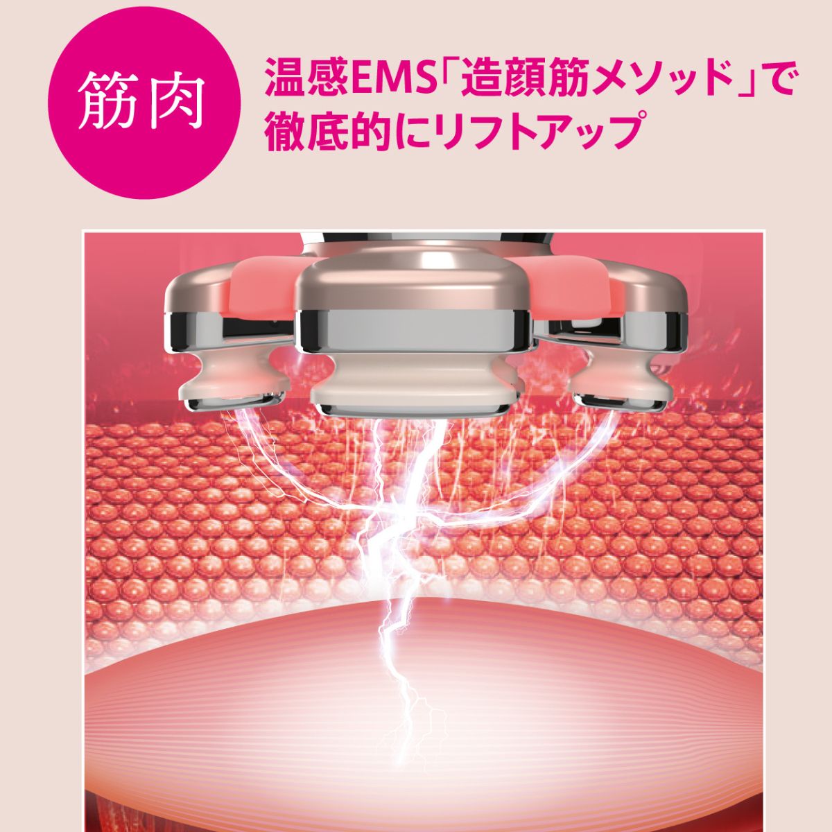 ゾーガンキン ブルーム CL-OK-ZKBM｜ZOGANKIN – CHOUCHOU シュシュ