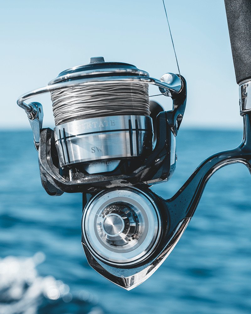 Daiwa Certate SW Spinning Reels – CharkBait!