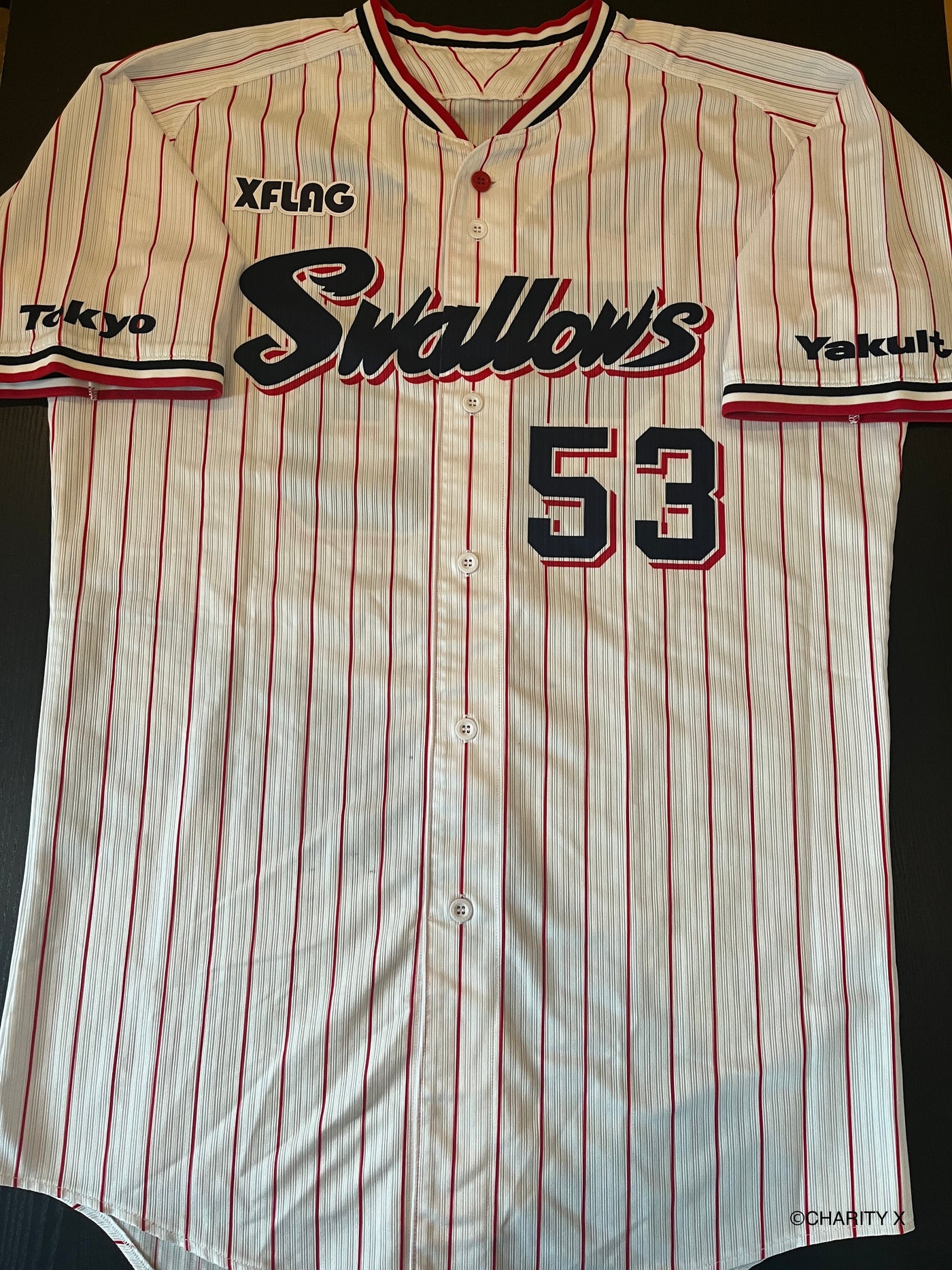 令和6年能登半島地震災害支援】五十嵐亮太氏2020年シーズン東京