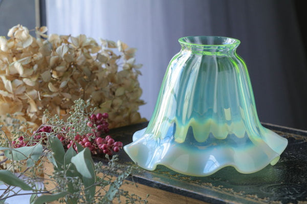 IMG_2467_1_grande.jpg?v=1636628751