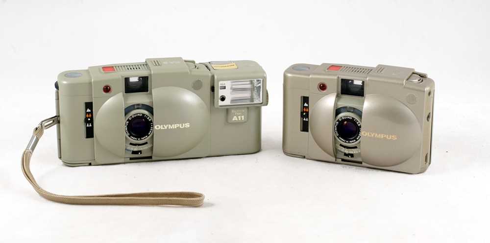 Lot 54 - A Pair of 