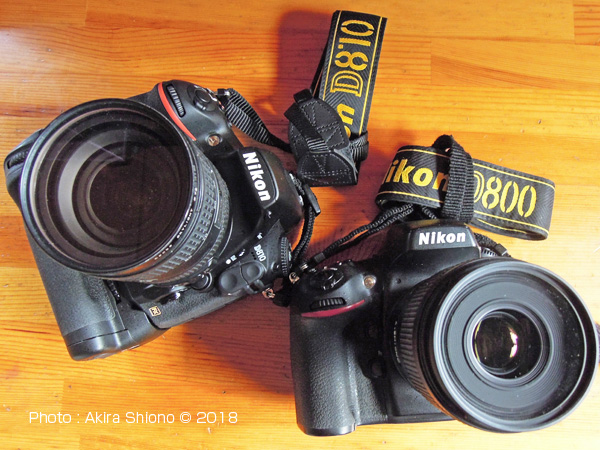 ニコンD810機能編／感度アップ／CHSいろいろサイト