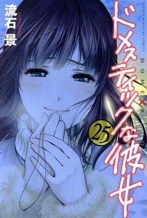 コミック全巻セット・まとめ買い】ドメスティックな彼女(全28巻)セット