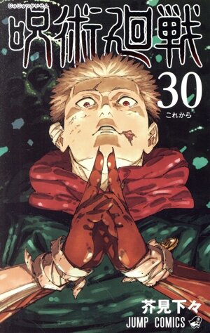 呪術廻戦(0.5) 東京都立呪術高等専門学校 ジャンプC 中古漫画