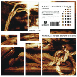 PSYCHIC TV - 'A Prayer For Derek Jarman' CD (CSR351CD)