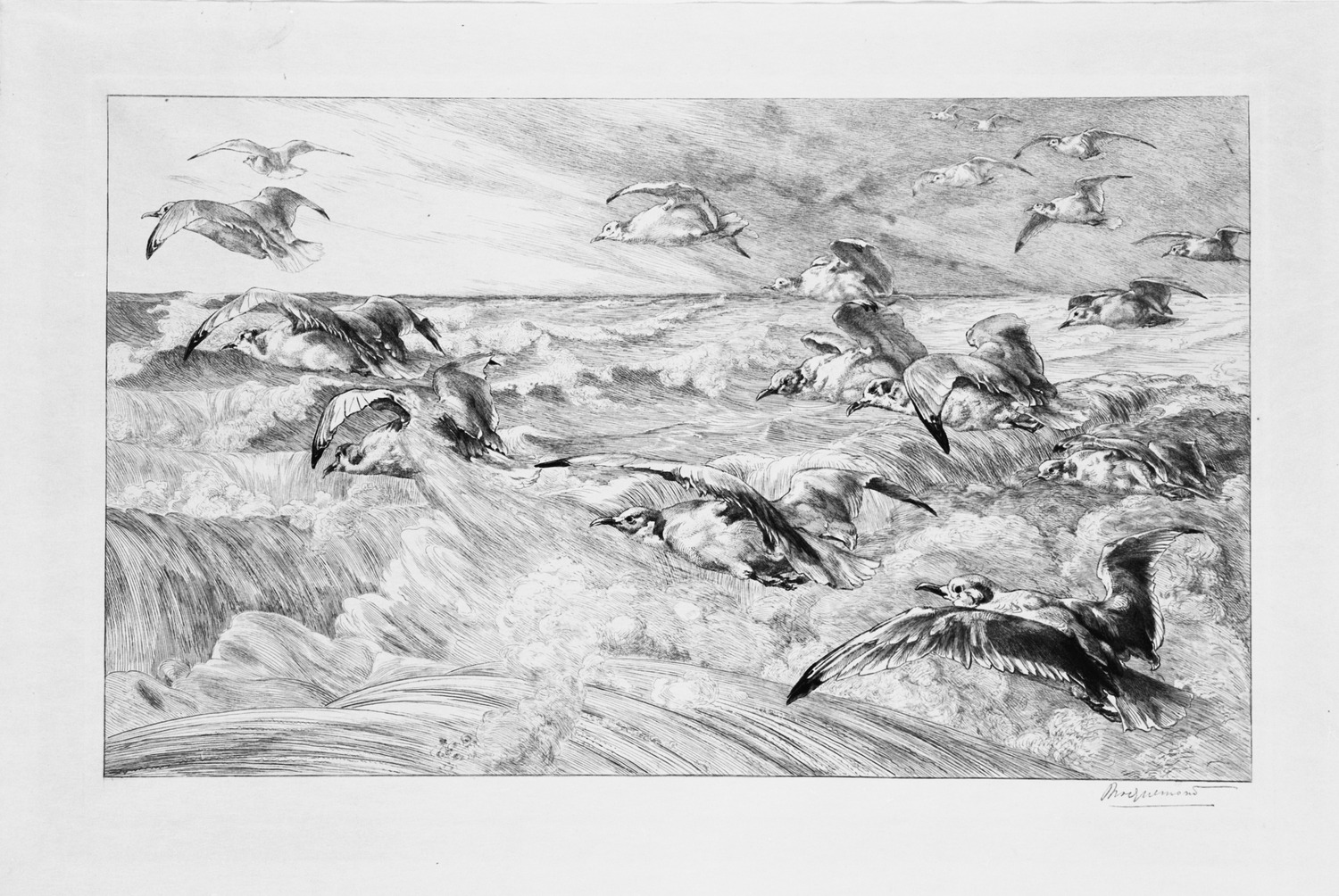 かもめ|フェリックス・ブラックモン |所蔵作品検索｜国立西洋美術館