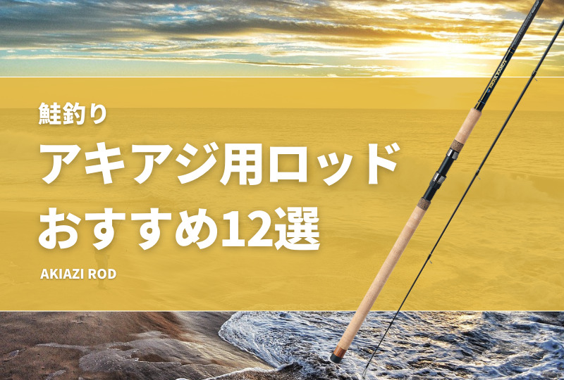 鮭釣り】アキアジ用ロッドおすすめ12選！コスパが良い安いサーモン