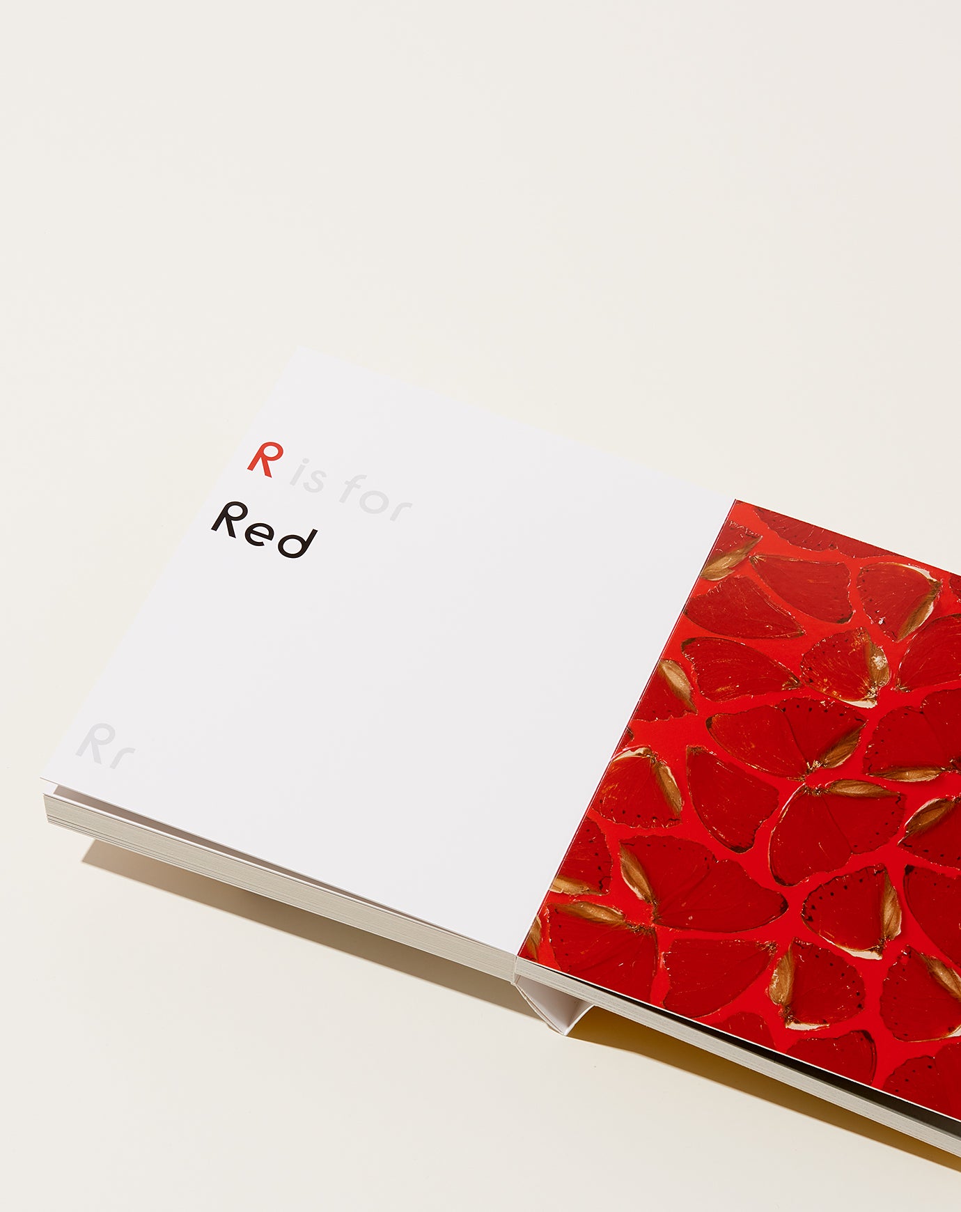 Damien Hirst: ABC Book | Artbook | Covet + Lou | Covet + Lou