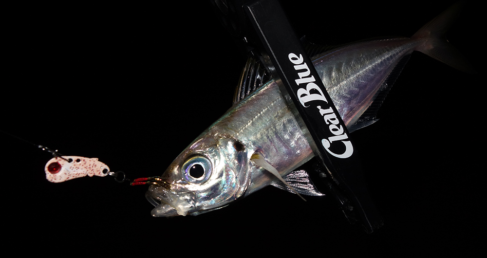 アジコンバイブ | アジング - ClearBlue -