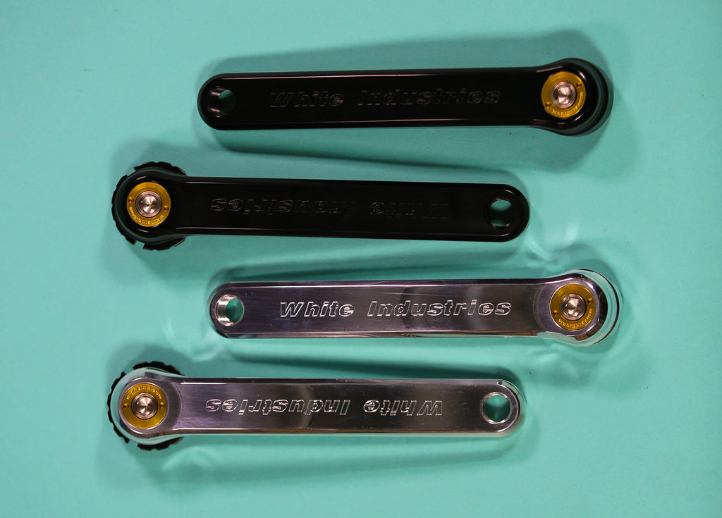 RFP_6467_1024x1024.jpg?v=