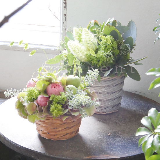 自然素材 | 株式会社カレント - 花器・花材・ラッピング・リボン等、花