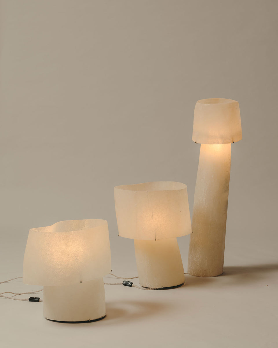 Current Collection - Mush Lamp Collection