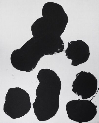 新城大地郎 - Daichiro SHINJO | shashasha 写々者 - 写真集とアートブック