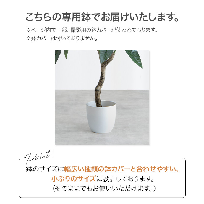 g162011]【高さ130cm】Nature 光触媒人工観葉植物 ユーカリ 観葉植物