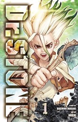 Dr. STONE, Vol. 22 | Book by Riichiro Inagaki, Boichi | Official