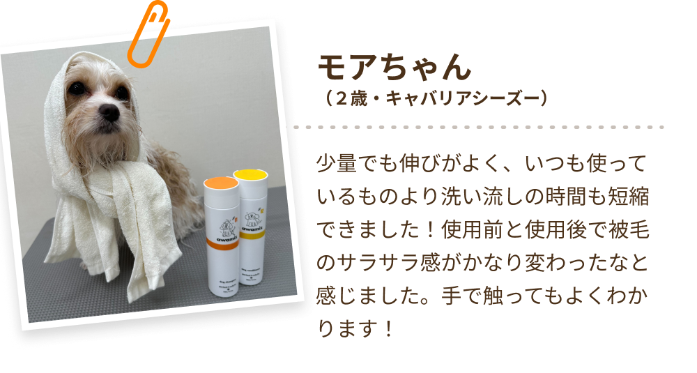 awamiz｜ドッグジャンプーは『水の泡』で進化する