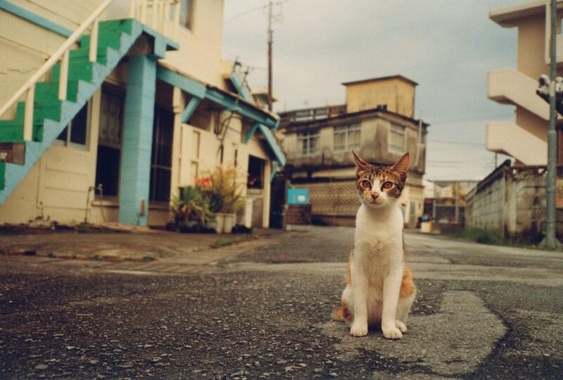 About Koji Onaka | moom bookshop - art books and magazines