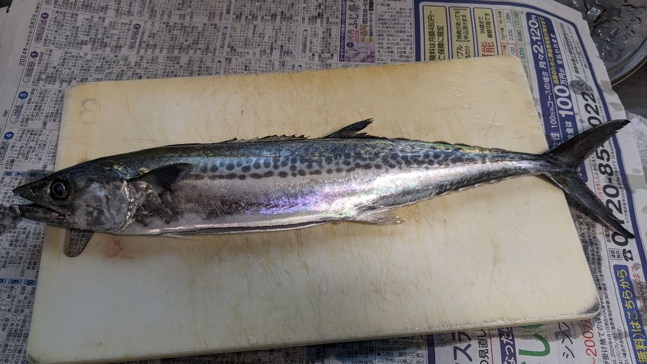 MajorCraft ファーストキャスト ショアジギング FCS-1002MHの最安値