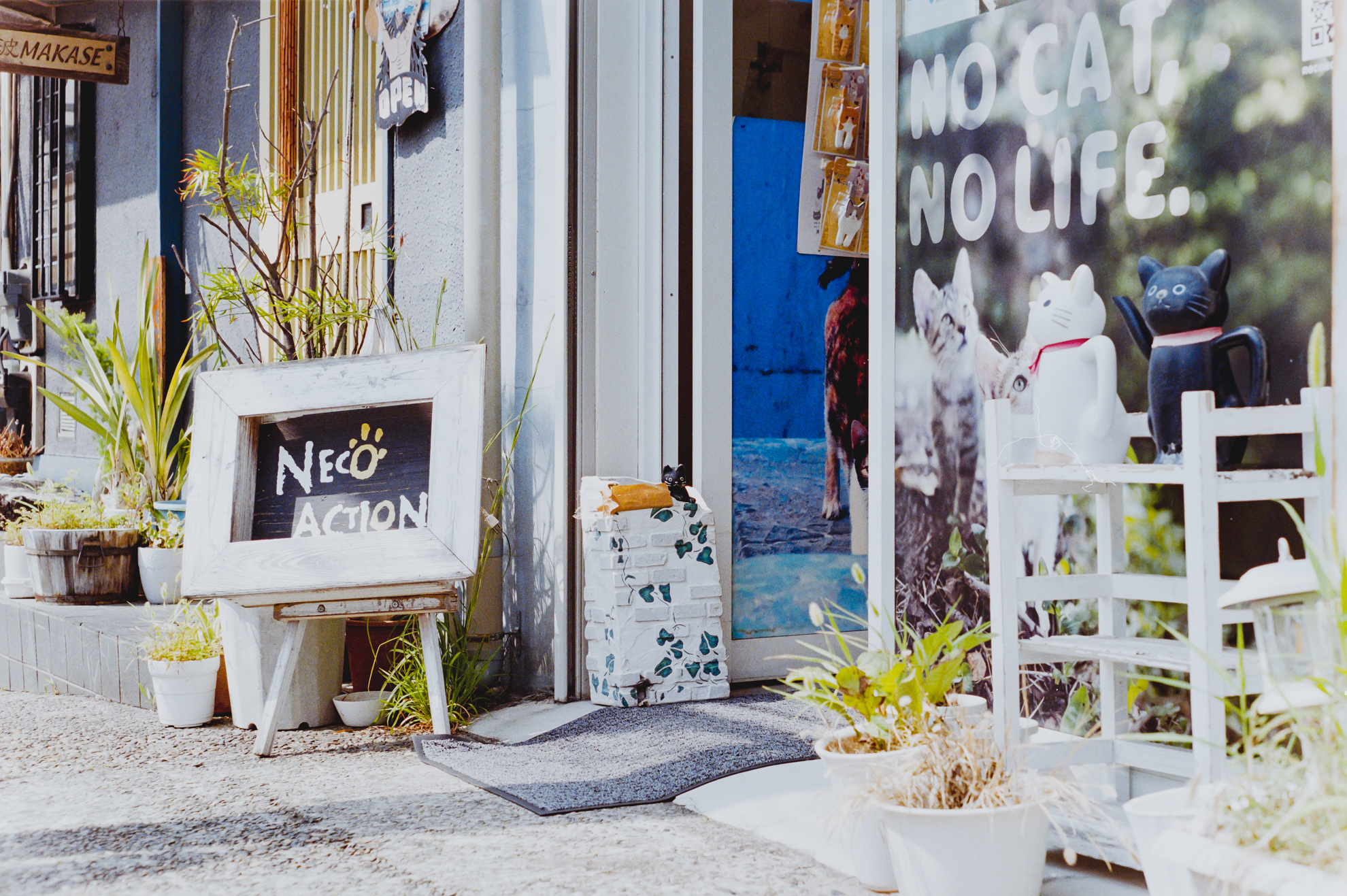 PENTAX SPOTMATIC ◇ 実写編 Part.2 ◇ | デジタル試しうち