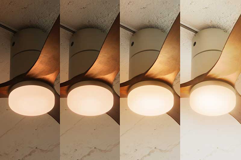 保証5年】 JAVALO ELF(ジャバロエルフ) シーリングファン シーリング