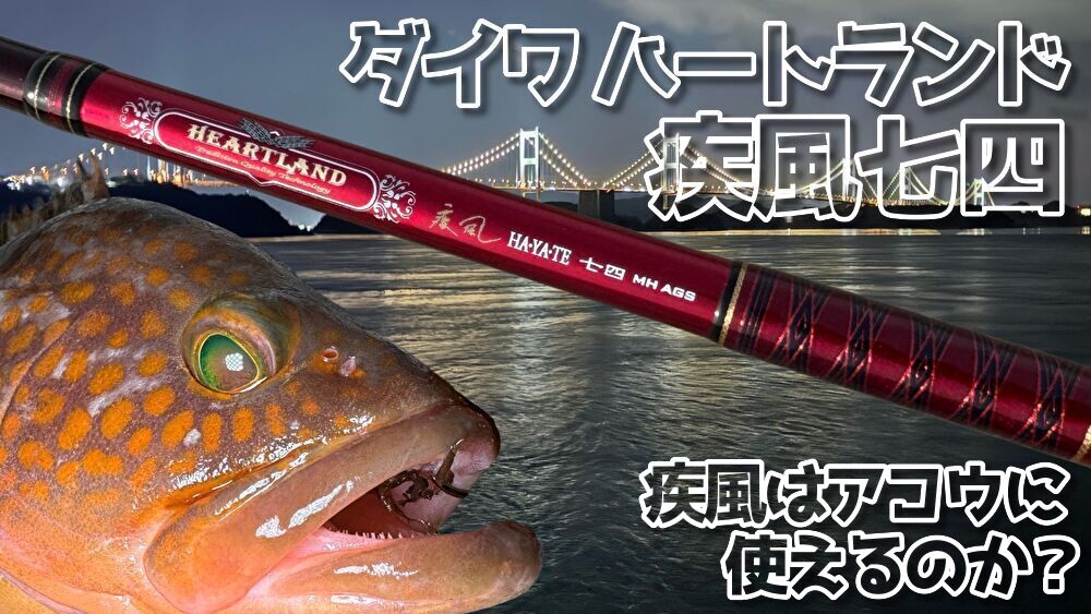 アコウロッドの最高峰！！ ダイワ ハートランド 疾風七四 | どぶろーの