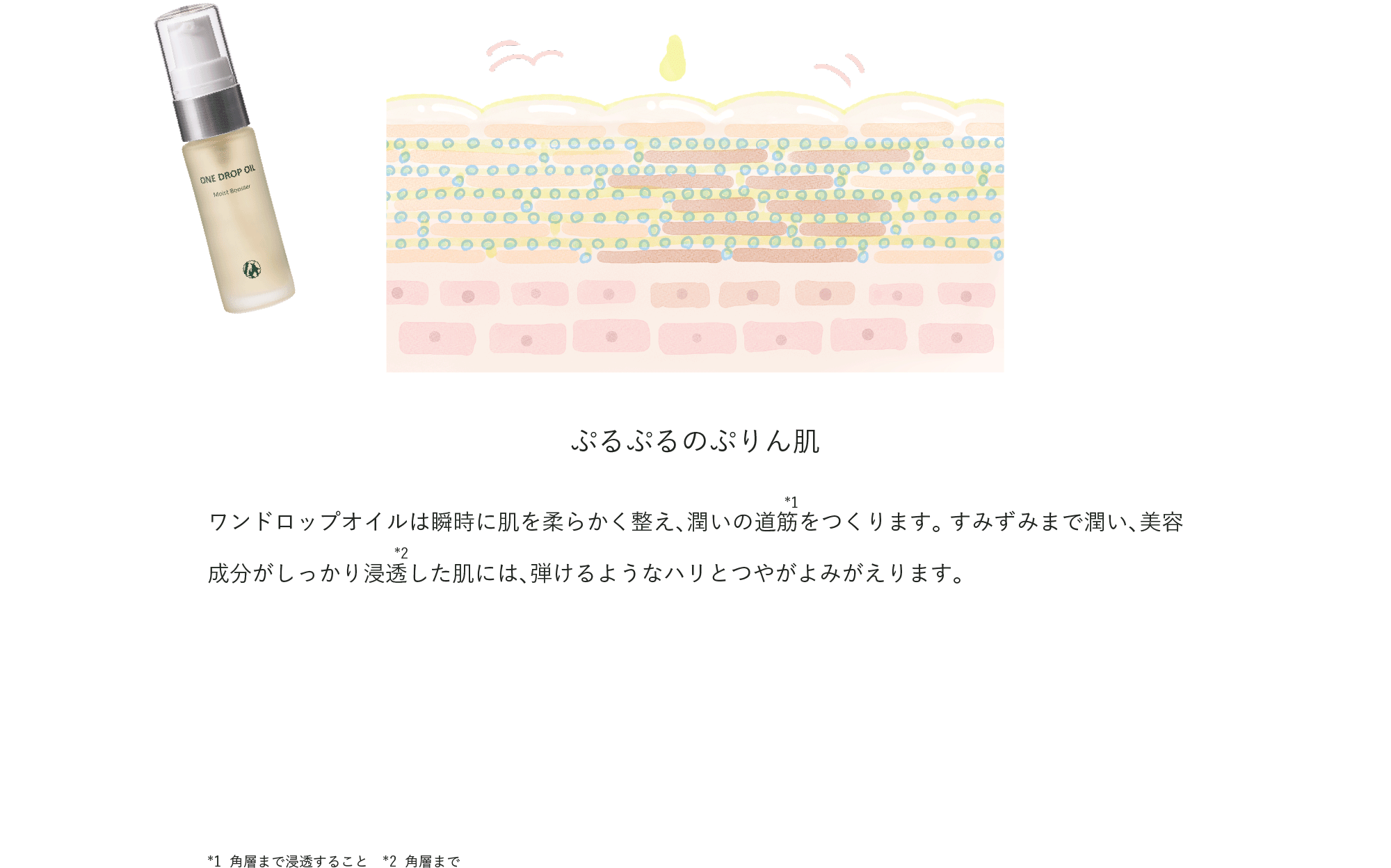 ONE DROP OIL｜DOC Skincare｜肌のチカラを高め、肌を育む。自宅で