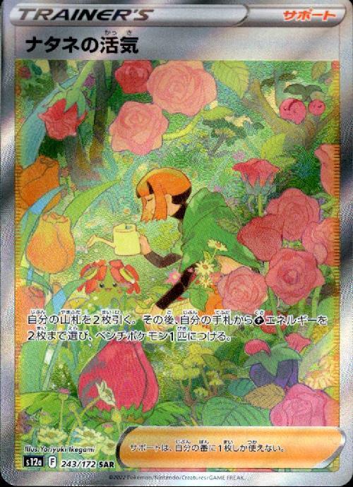 ナタネの活気(243/172 SAR) | SAR | ドラゴンスター | ポケモンカード
