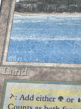 3ED)Tropical Island(MP-)(EN)/(未訳) | 未登録 | ドラゴンスター