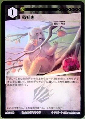 アニマルカードゲーム 亀知恵 蛇知恵 猿知恵 PR12枚セット 蛇知恵