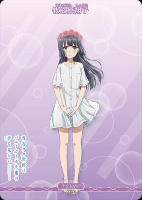 青春ブタ野郎はおでかけシスターの夢を見ない/牧之原翔子(BB-SBS2