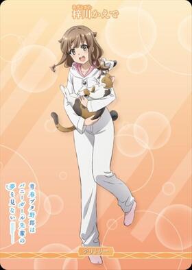 青春ブタ野郎はおでかけシスターの夢を見ない/梓川かえで(BB-SBS2