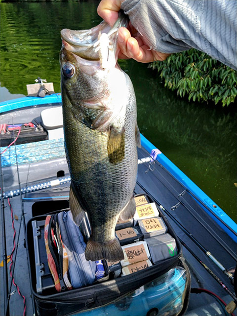 株式会社DSTYLE 公式サイト