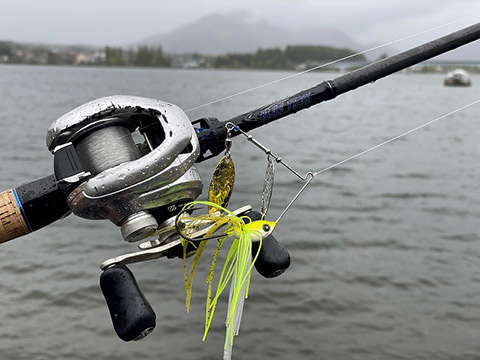 株式会社DSTYLE 公式サイト