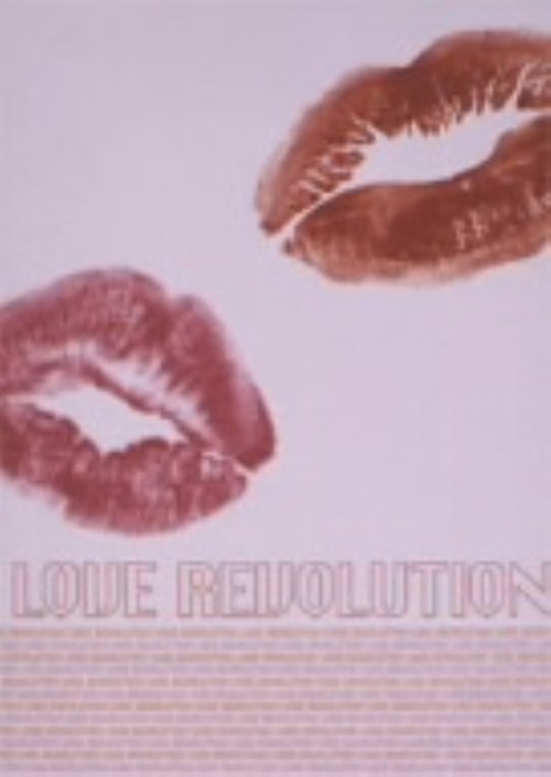 ラブレボリューション　DVDセット Amazon.co.jp: ラブレボリューション DVD BOX付 4枚組 全12話 TVラブ