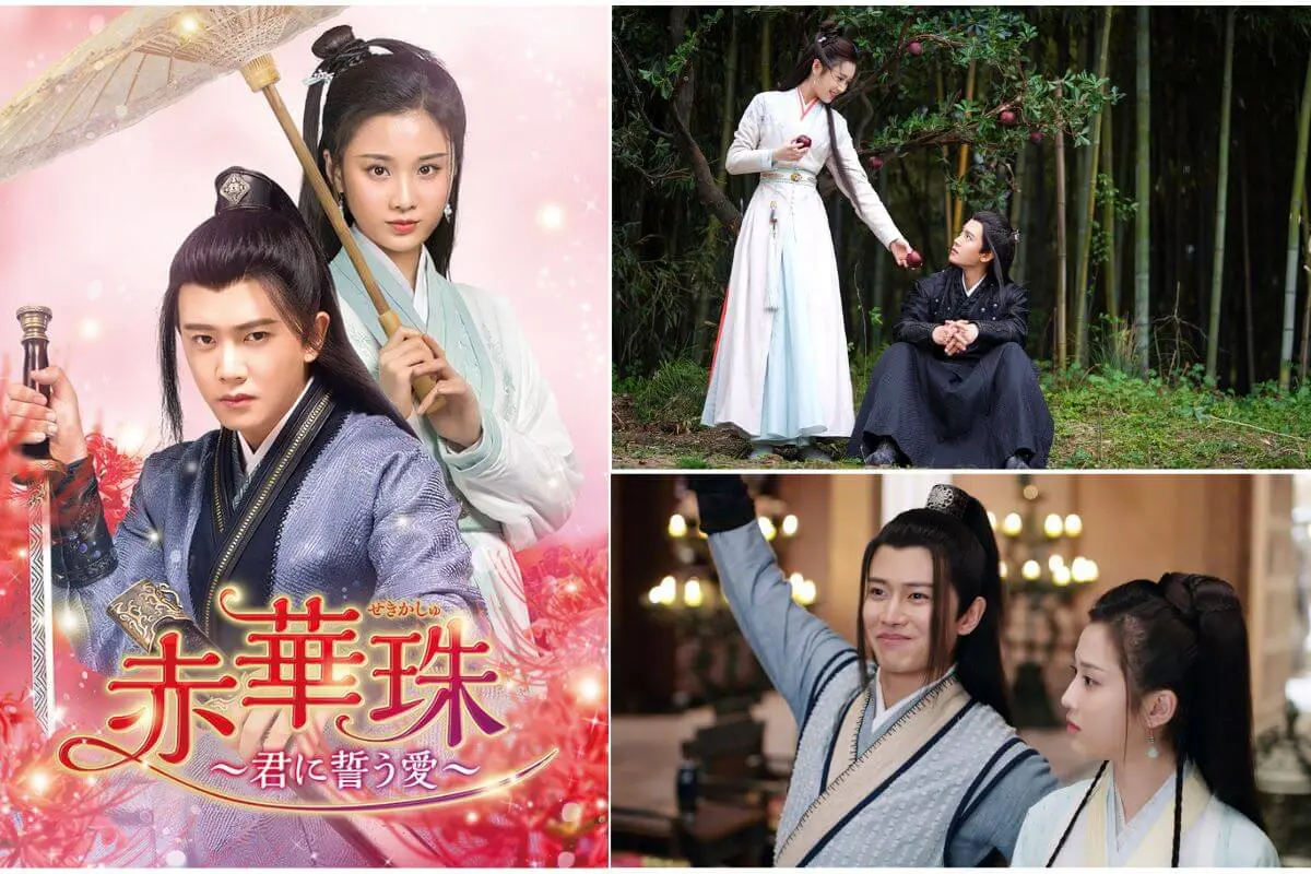中国ドラマ『赤華珠［せきかしゅ］ ～君に誓う愛～』はどこで見られる