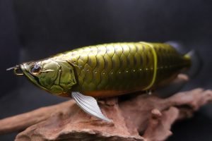 皇 SUMERAGI | dranckrazy