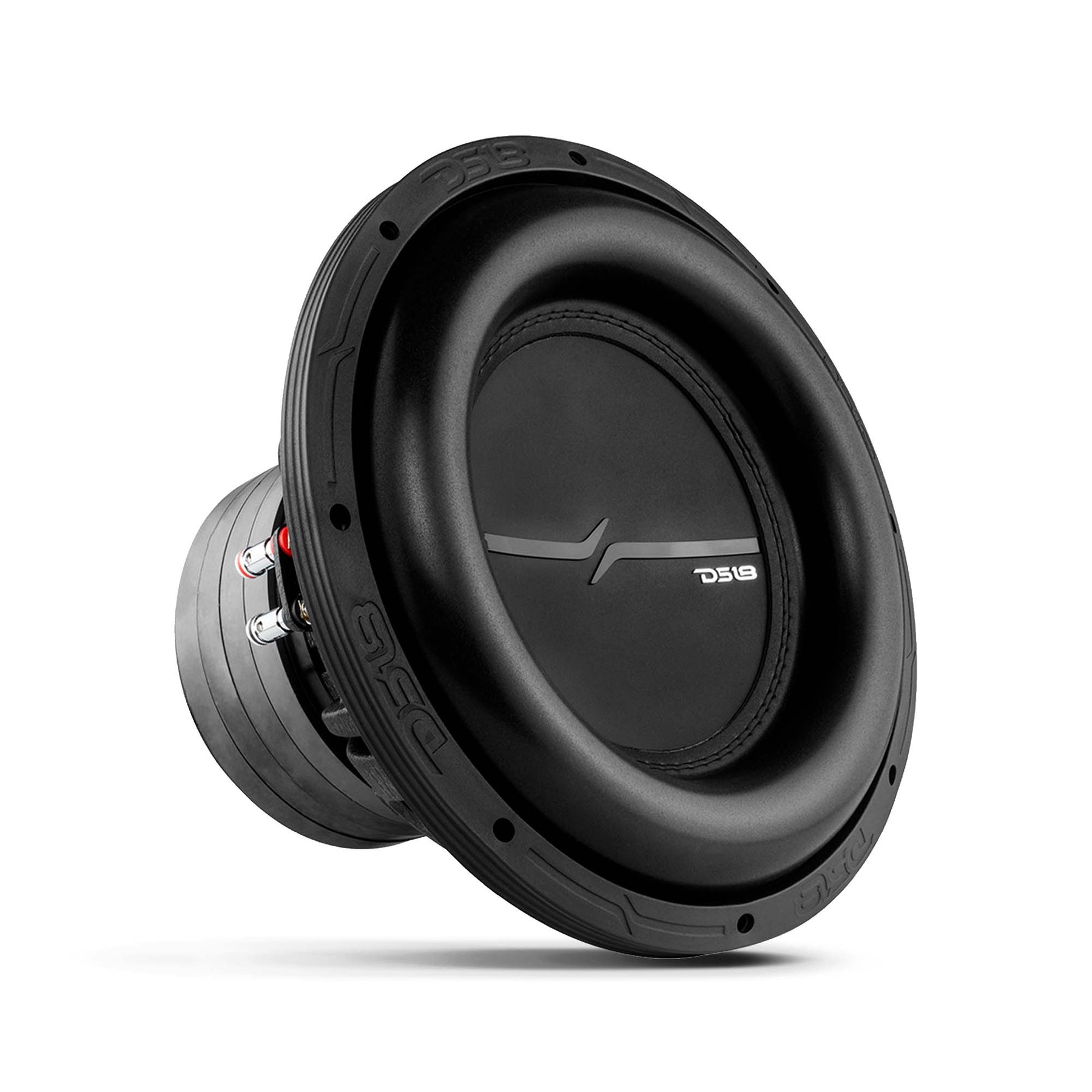 Ds18 ZXI12.4D High Excursion 12