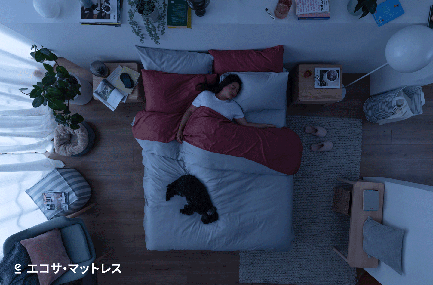 NEW エコサ・マットレス | Ecosa（エコサ）