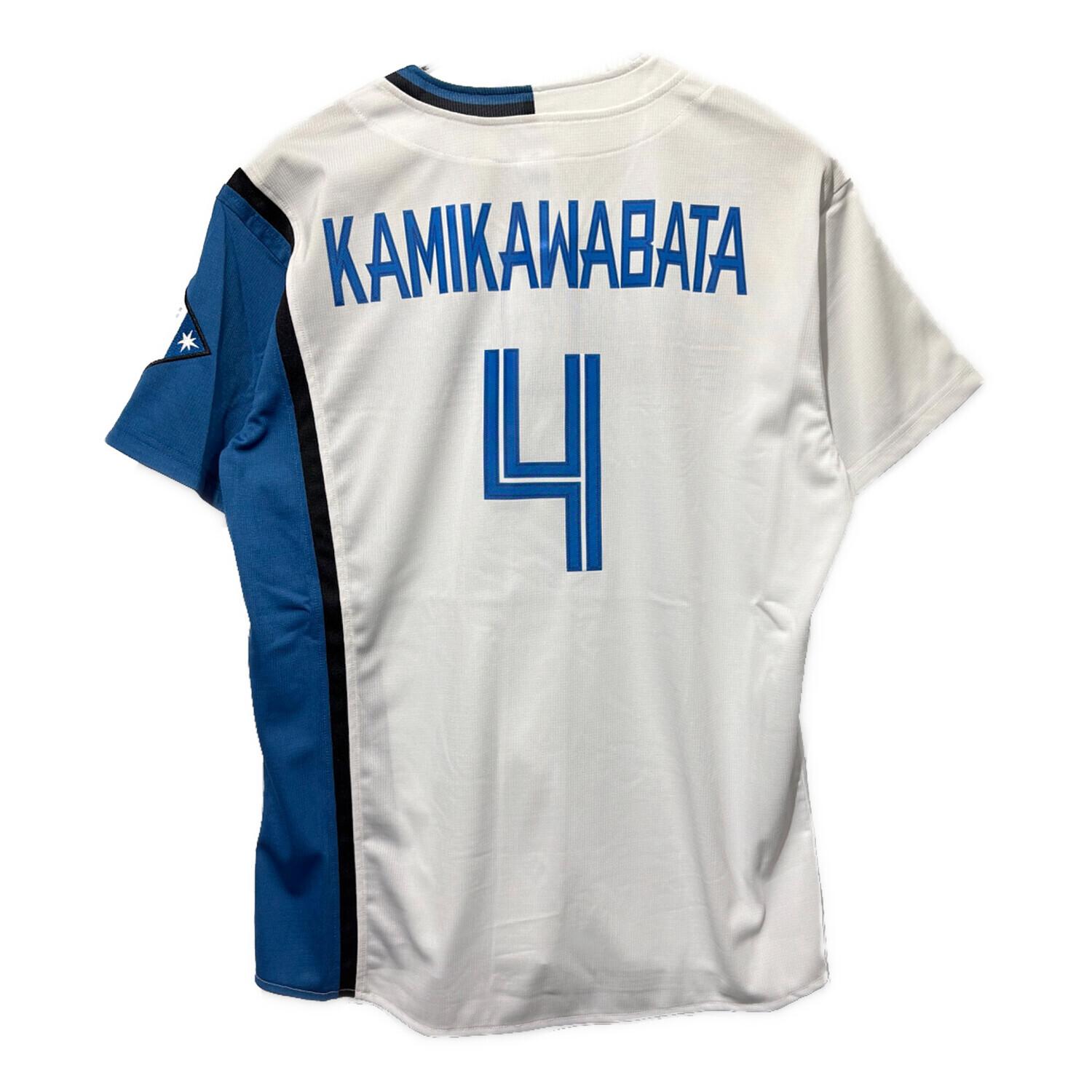 北海道日本ハムファイターズ (ホッカイドウニッポンハムファイターズ