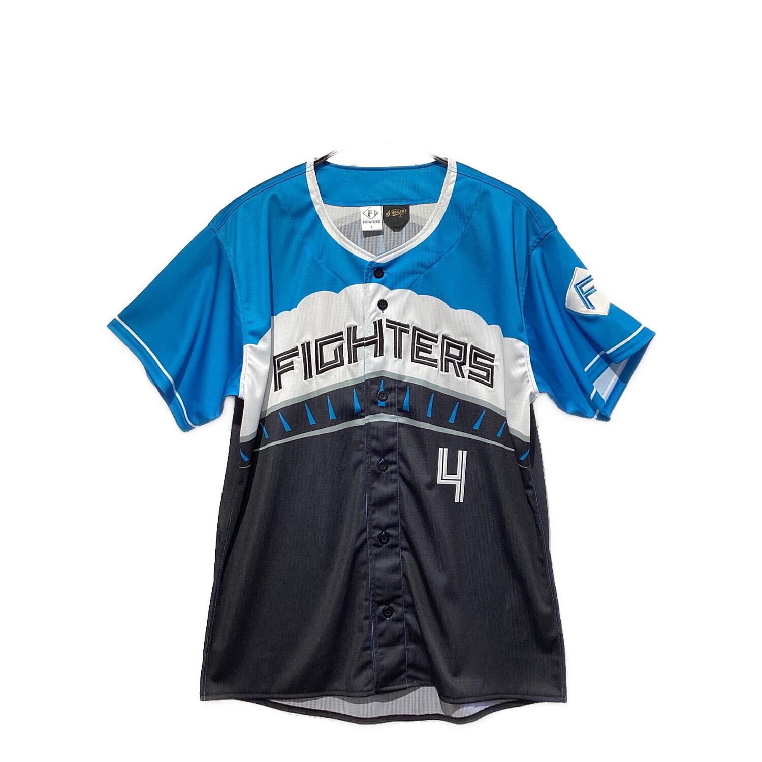 北海道日本ハムファイターズ (ホッカイドウニッポンハムファイターズ