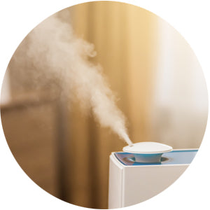 迷ったらコレ！！まずはお試し単発】慧一之水 4L + Waka-ga-El （20日