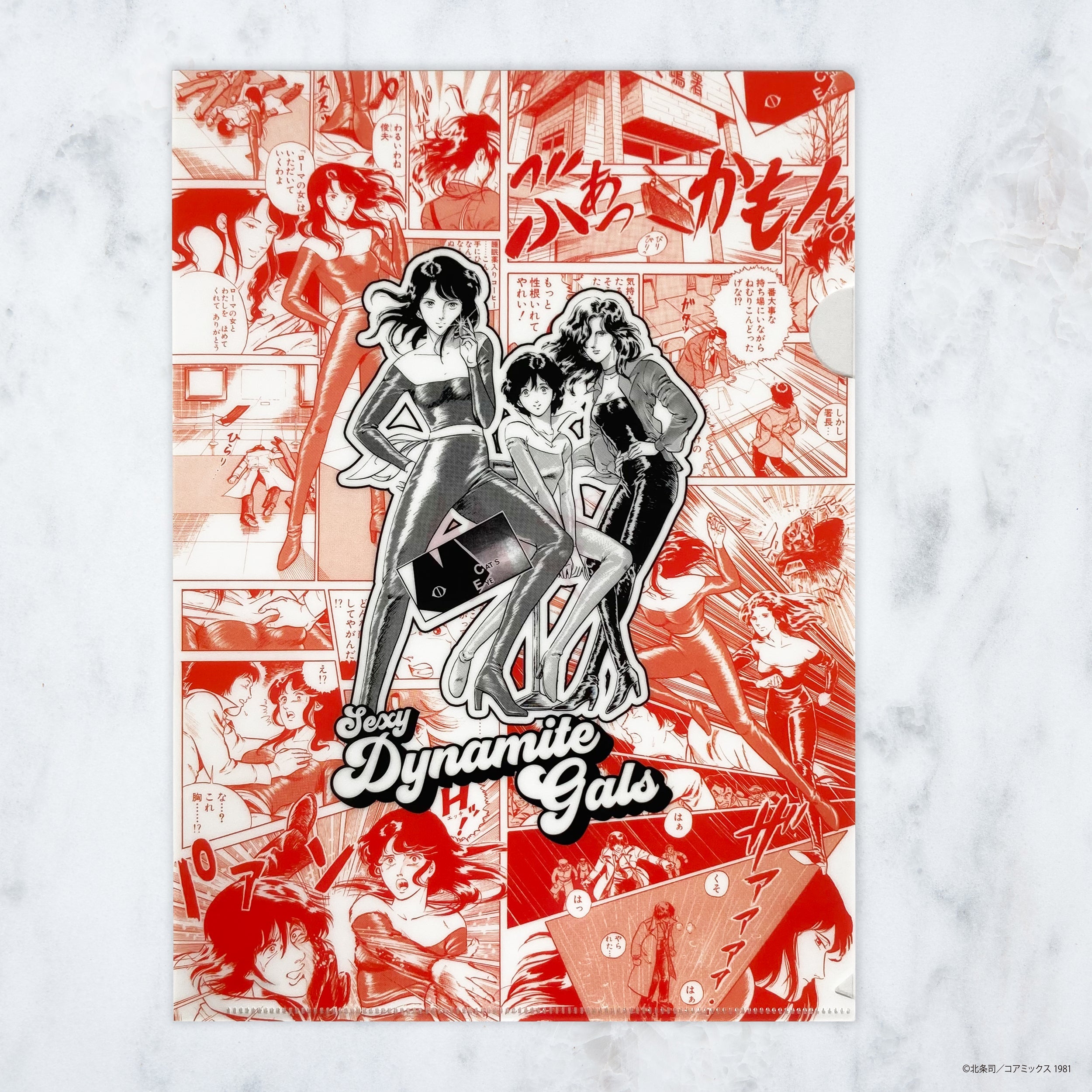 hojo_CF_CE_SDG_001.jpg?v=