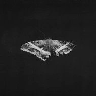 Kendrick Lamar To Pimp a Butterfly (10 Year Anniversary Edition